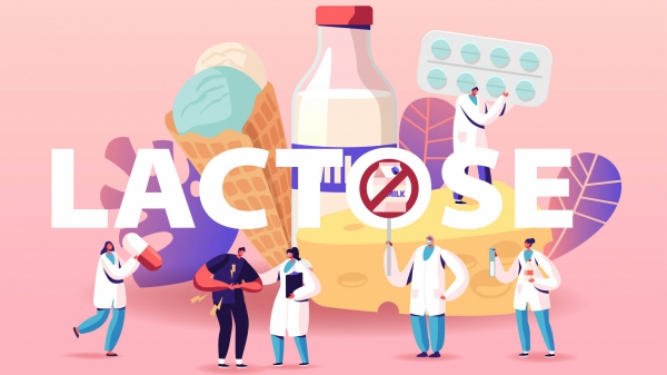 https://startbiology.com/en/lactose-intolerance/